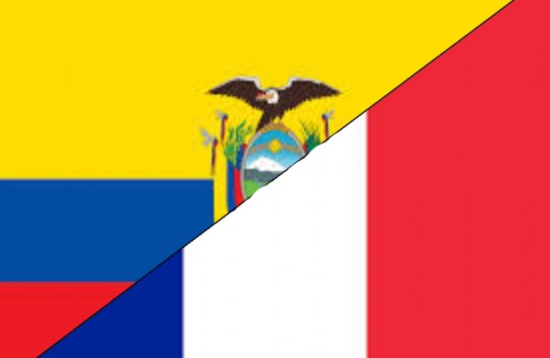 FRANCE WINS GROUP E, ELIMINATES ECUADOR